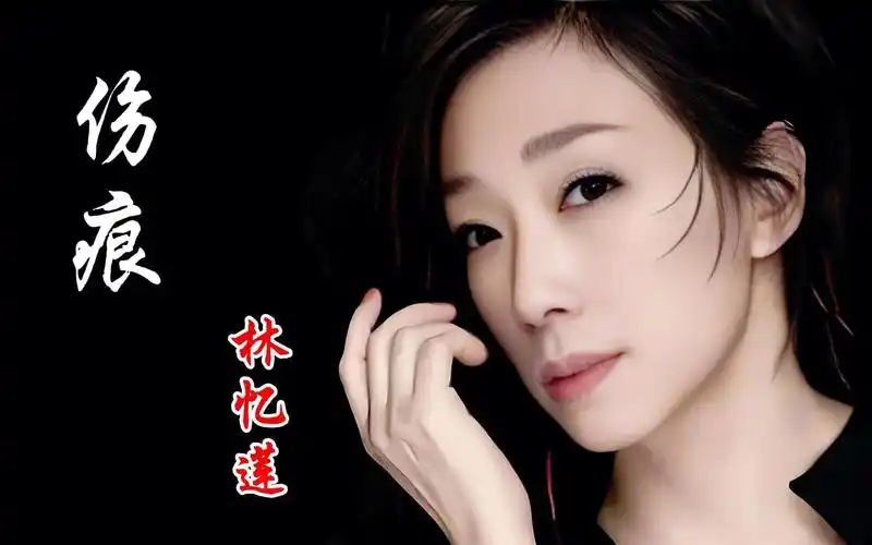 林忆莲《伤痕》温婉动人,触动了无数痴情人的心,让人黯然神伤.