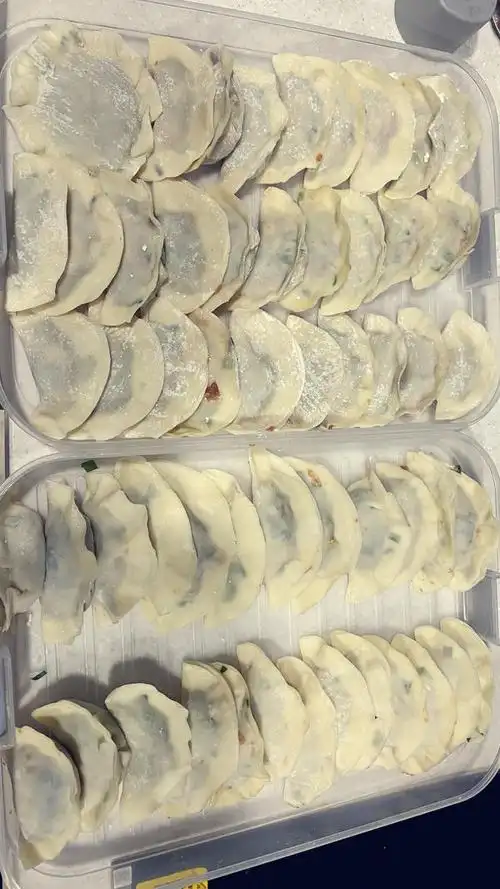 首页>饺子>韭菜虾仁鲜肉水饺>anluna做的韭菜虾仁鲜肉水饺>anluna做过