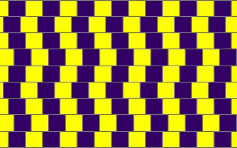 你的眼睛在说谎——经典错觉图