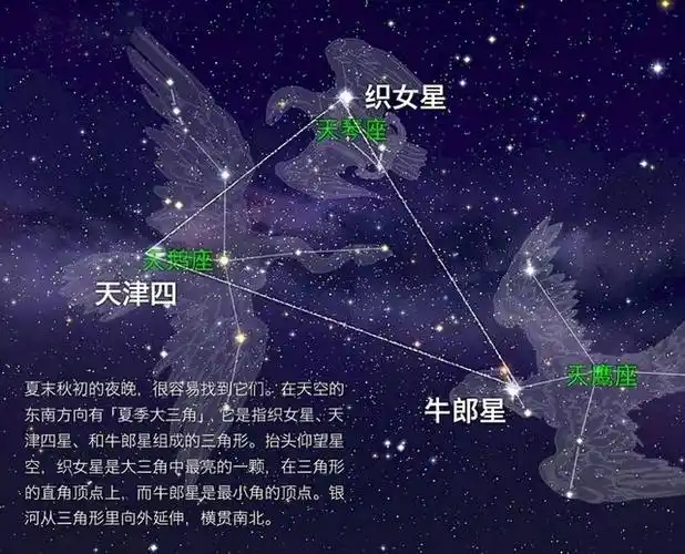织女星属于哪个星系「牛郎星和织女星在银河系的分布图」  第5张