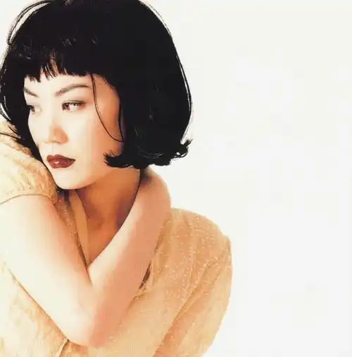 二十多年前拍摄的写真到今天,依旧时髦,这就是icon王菲在1995年发布