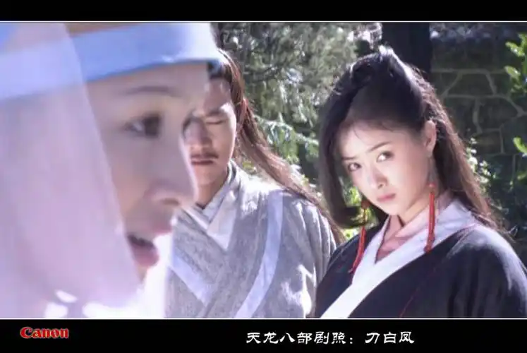 生母是刀白凤,那些女孩子却是段正淳与秦红棉,甘宝宝,阮星竹,王夫人生