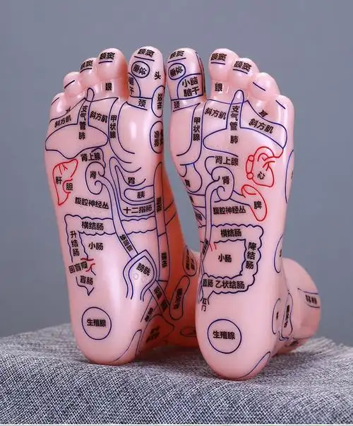 足部穴位模型高清足底穴位反射区按摩器足疗点穴棒脚推拿养生15厘米