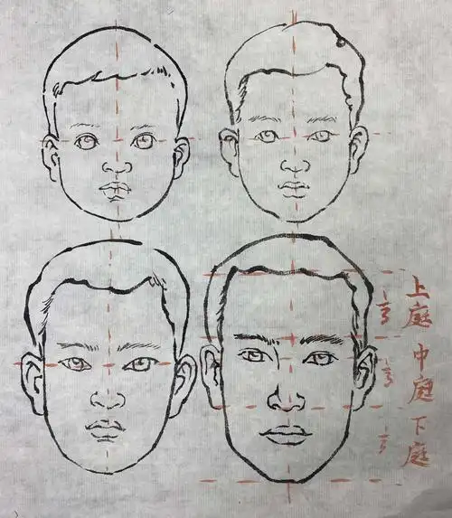 三庭五眼 水平线是眼位 垂直线是脸部的中心,发际,鼻尖,唇尖,下巴