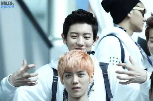 仁川机场送机 大家还记得在机场的这个故事吗~ 朴灿烈 鹿晗 exo