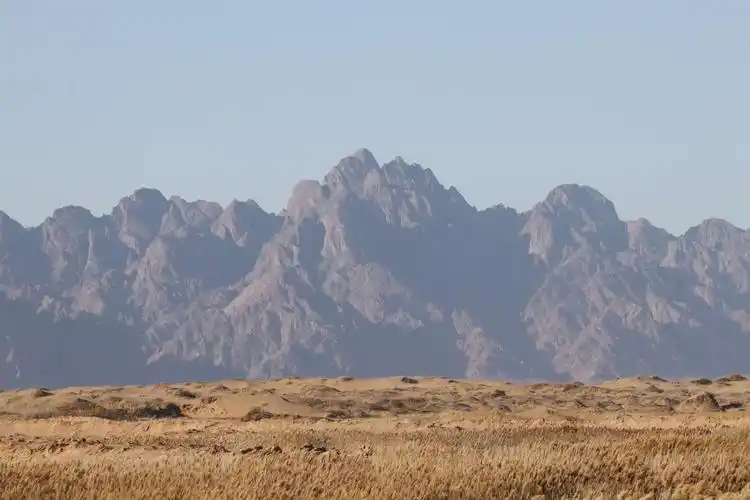 阴山山脉在磴口境内为狼山,山上植被很少,狼山脚下的天鹅湖今年也吸引