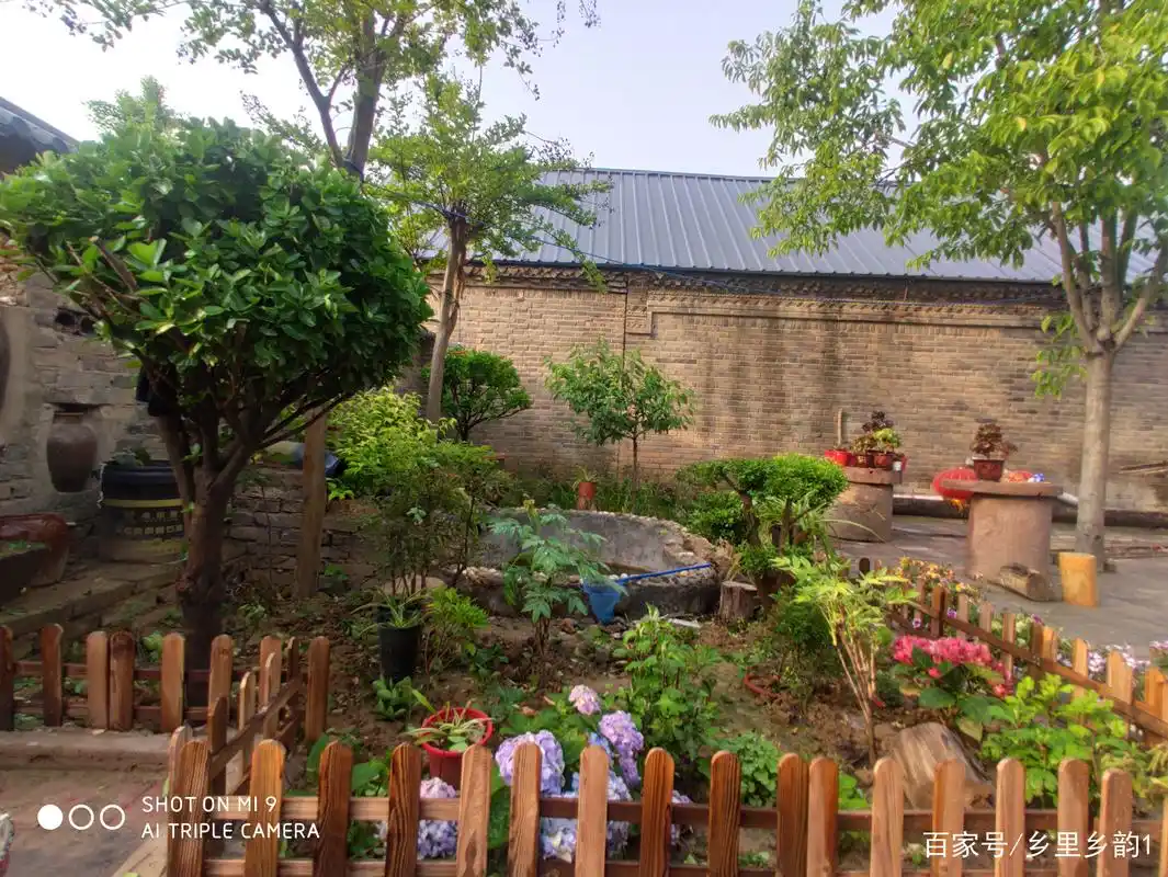 在农村,经过设计终于拥有一个田园诗意的花园,闲看庭前花开花落