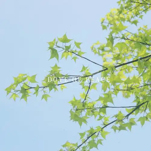 ipad10.2寸壁纸清新 ipad高清壁纸小清新-图片大观-奇异网