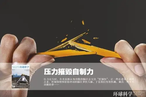 压力摧毁自制力