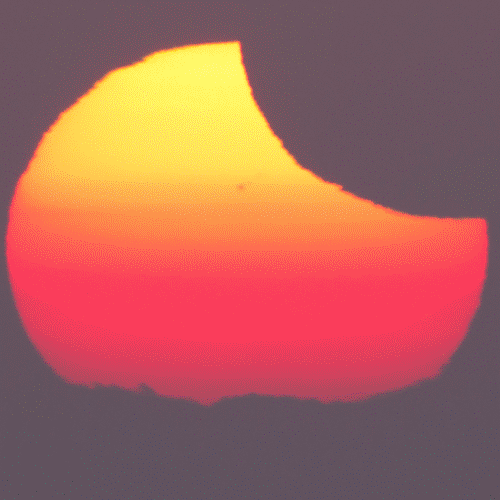 500_500gif 动态图 动图