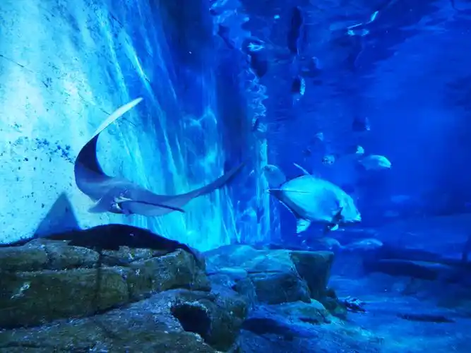 鼓浪屿海底世界 - 雨后彩虹12 - 图虫