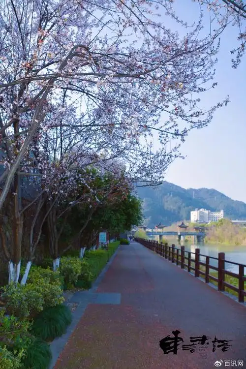 醉美畲乡景宁诗意春天风景画册:30张壁纸级美图带你感受畲乡浓浓春意