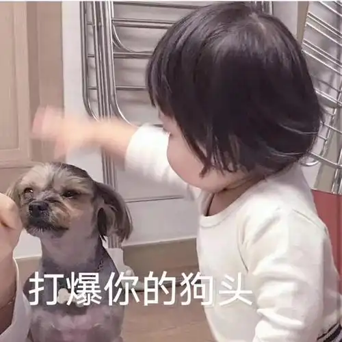 分享一波撩男友的表情包