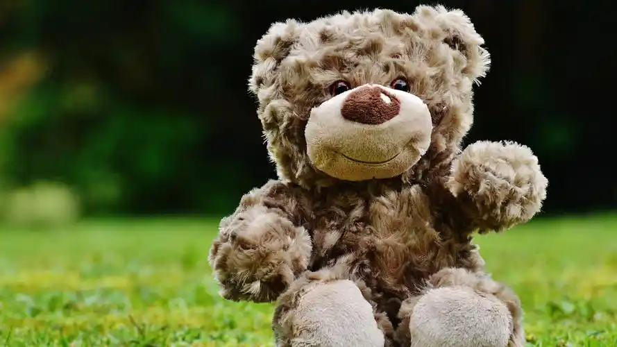 会说话的玩具熊,非主流-回车桌面