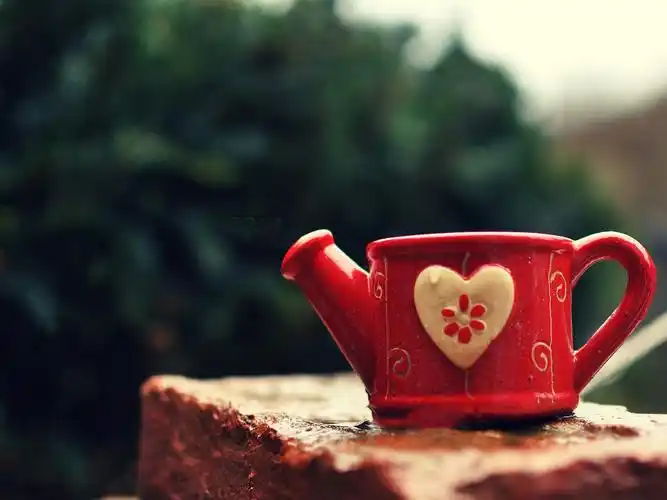 浇花器,唯美,文艺,爱心,,静物浇花器壁纸图片