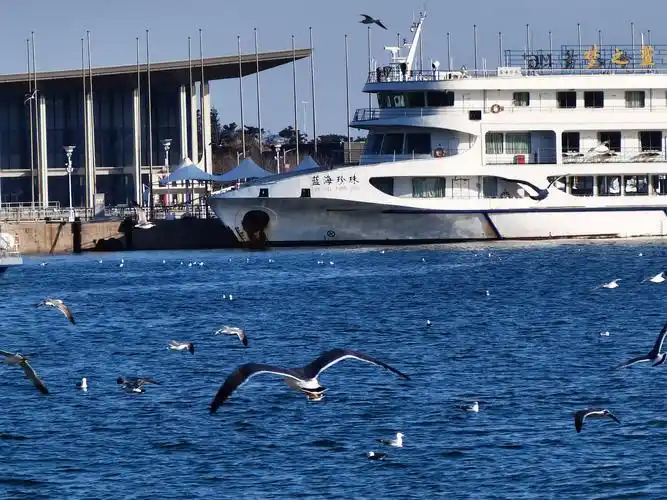 鸿蒙230版本青岛五四广场海边十倍变焦下的魅力