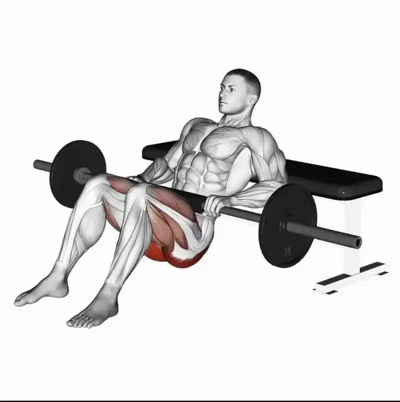 臀部训练.臀推可以最大化的激活臀部, 深蹲促进臀肌的更大伸展 - 抖音