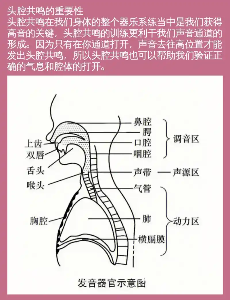 头腔共鸣可以让歌唱者的声音变得洪亮且富有穿透性,以及可以保持歌唱