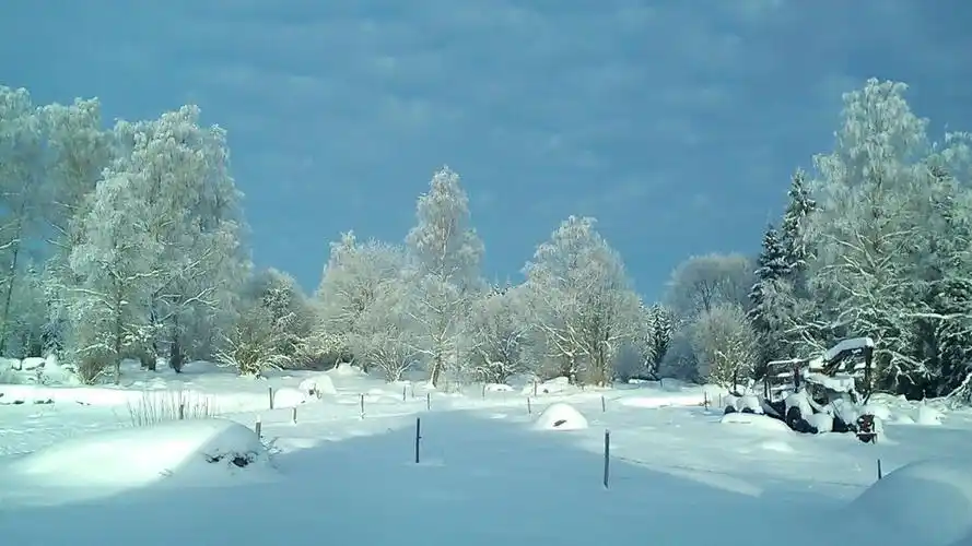 冬季白雪皑皑的大地