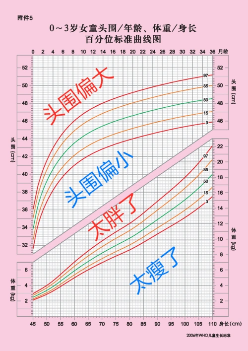女孩头围,身长的体重.png