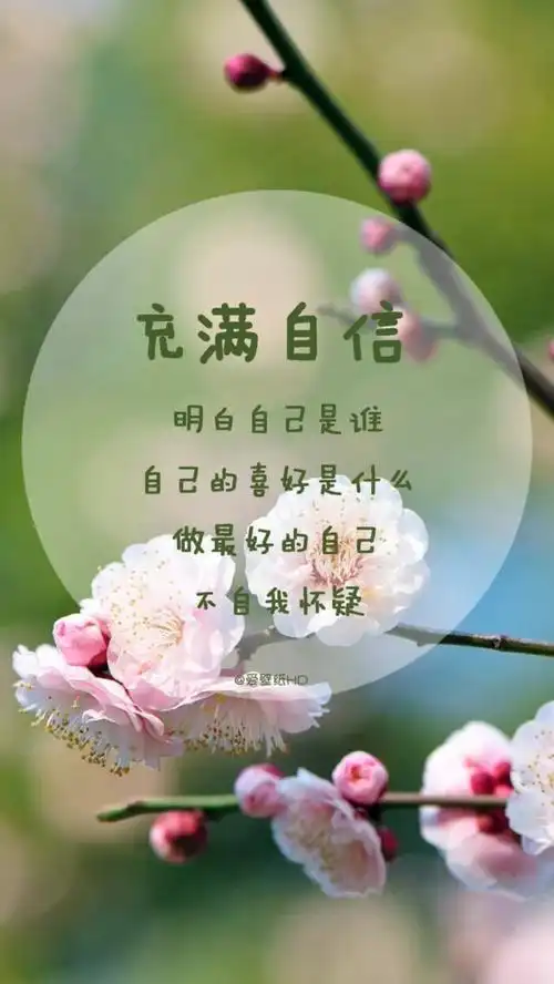 励志语录 - 堆糖,美图壁纸兴趣社区