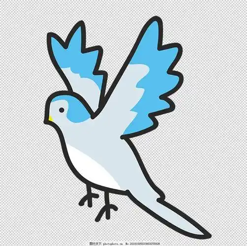 卡通小鸟 卡通小鸟图片大全可爱