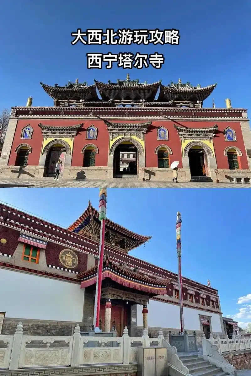大西北旅游75西宁塔尔寺95附详细攻略.
