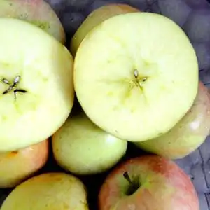 山西运城红富士苹果新鲜水果图片