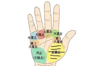 手相分析金星丘横纹多的男人代表什么?感情细腻?_简单知识网