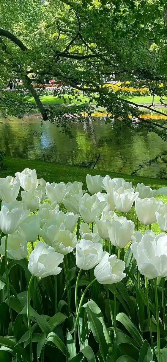 壁纸锁屏93一套全屏 唯美壁