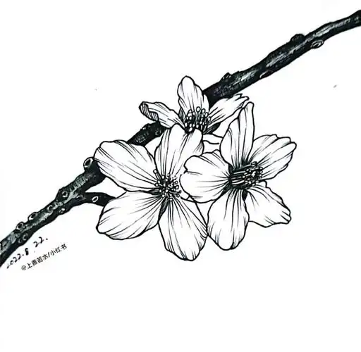 樱花线描,终于赶在十二点前发一张了.