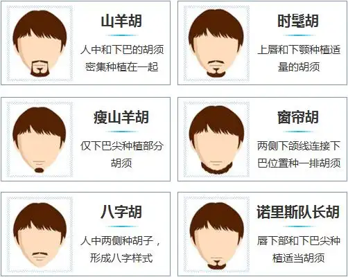 典型胡须种植类型