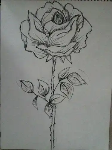 初中4k纸简笔画适合初中生的简笔画简单初中头像简笔画 第1页初中趣味