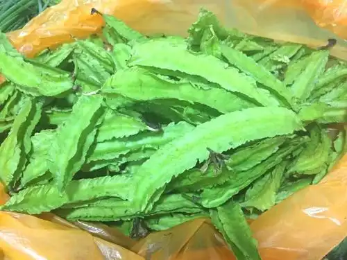 那年冬季～海南行