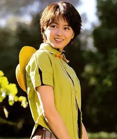 代表作有《烈火战车》,《百变星君》,《心动》,《我的兄弟姐妹》,《向