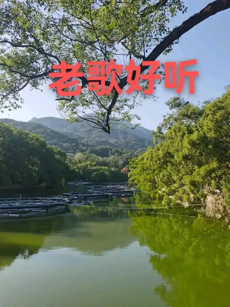 兄弟姐妹们晚上好 #送一首好听的歌分享给大家 #谢谢欣赏  - 抖音