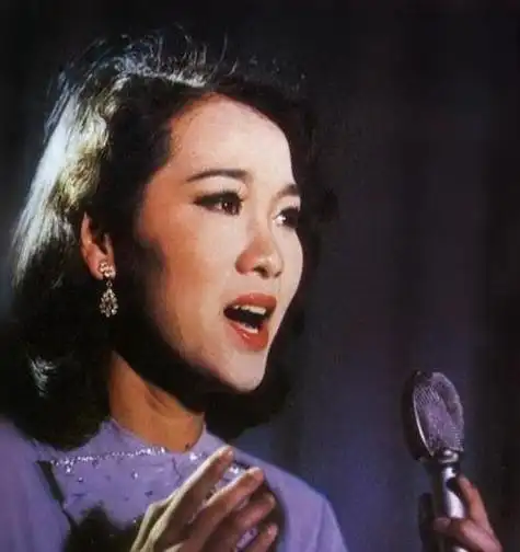 郑绪岚登上春晚后,她迅速成为家喻户晓的女歌手,她独具特色的歌声深深