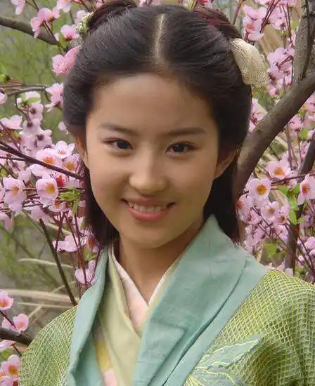 刘亦菲17岁,小林青霞18岁,黄圣依19岁,谁更清新脱俗?_时候_感觉_时尚