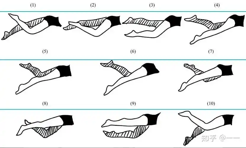 自由泳学习技巧