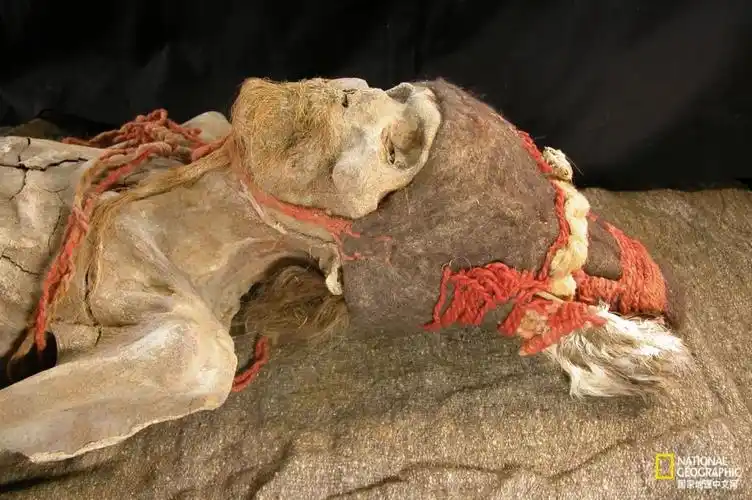 罗布泊恐怖生物照片(罗布泊恐怖生物照片ie=utf-8) - 泉兴百科