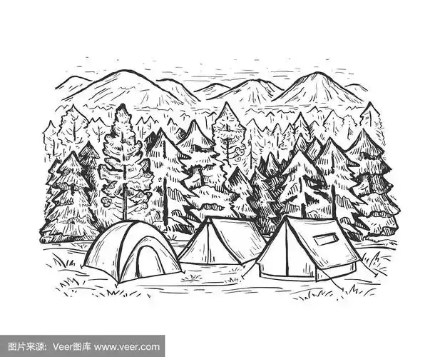 用针叶林,帐篷,山脉勾勒出矢量景观.