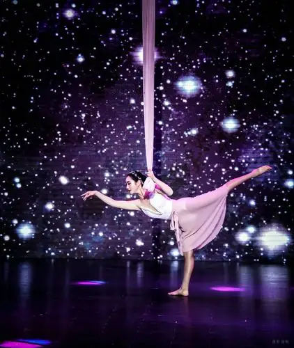 2019年第十三届全国钢管舞锦标赛(一) ( 摄影徐铁)