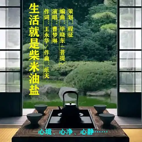 毕晓东菩提生活就是柴米油盐伴奏