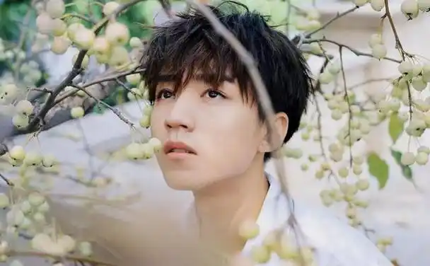 同一男团出身,王源新剧一片叫好,却意外扯下王俊凯的"遮羞布"