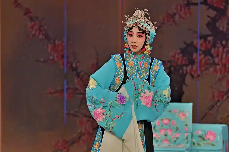 像音像剧目《梁红玉》(周利)图片