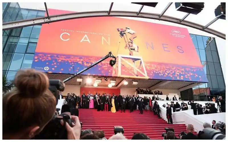 第73届戛纳电影节官方单元片单即将揭晓 共计56部影片入围