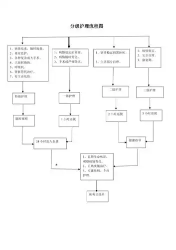 分级护理制度流程图