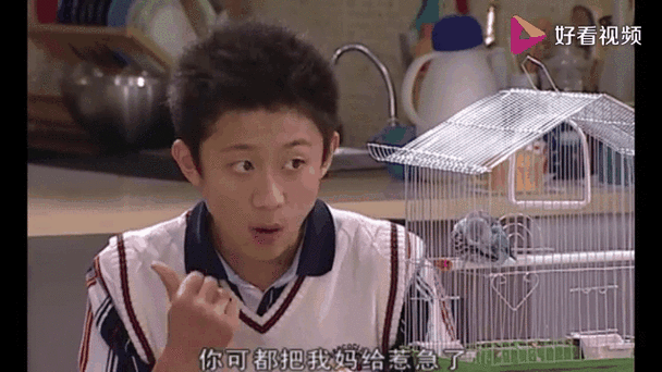 刘星这次又找事了,整天对着一只鸟叫"妈妈",亲妈都急了!