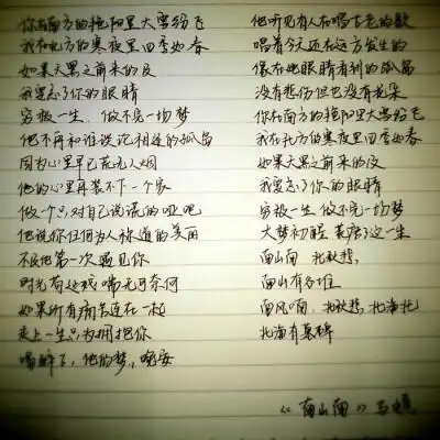 南山南手写歌词 lyz影子