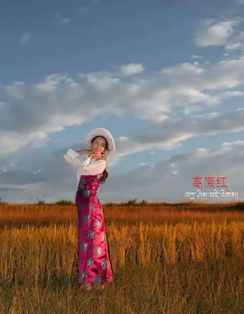 高原红